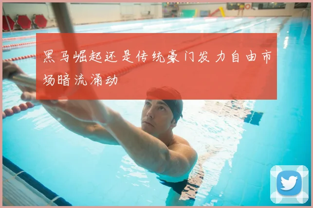 黑马崛起还是传统豪门发力自由市场暗流涌动