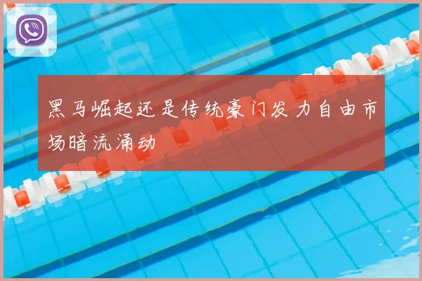 黑马崛起还是传统豪门发力自由市场暗流涌动
